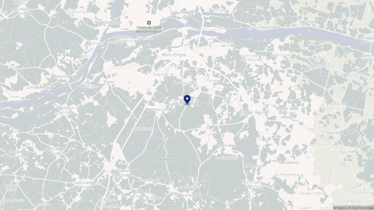 Aperçu cartographique de Soulaines-sur-Aubance, centré sur la commune