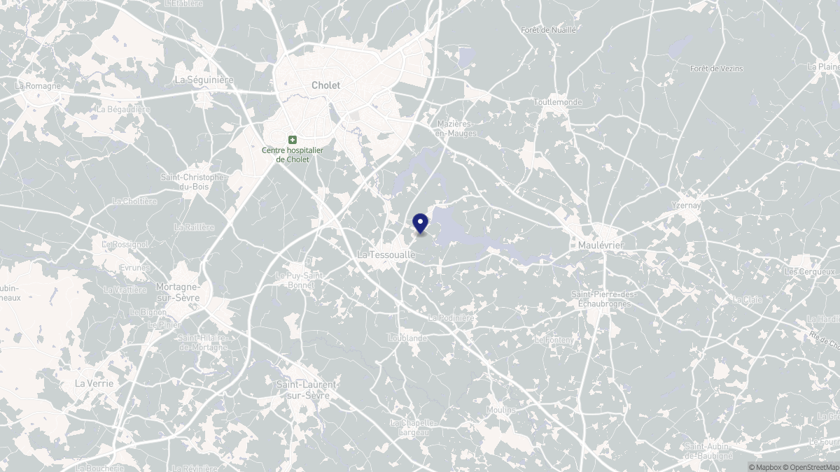 Aperçu cartographique de La Tessoualle, centré sur la commune
