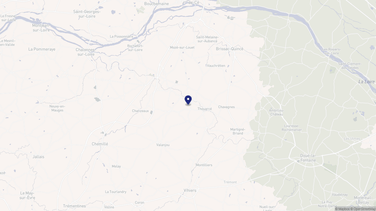 Aperçu cartographique de Bellevigne-en-Layon, centré sur la commune