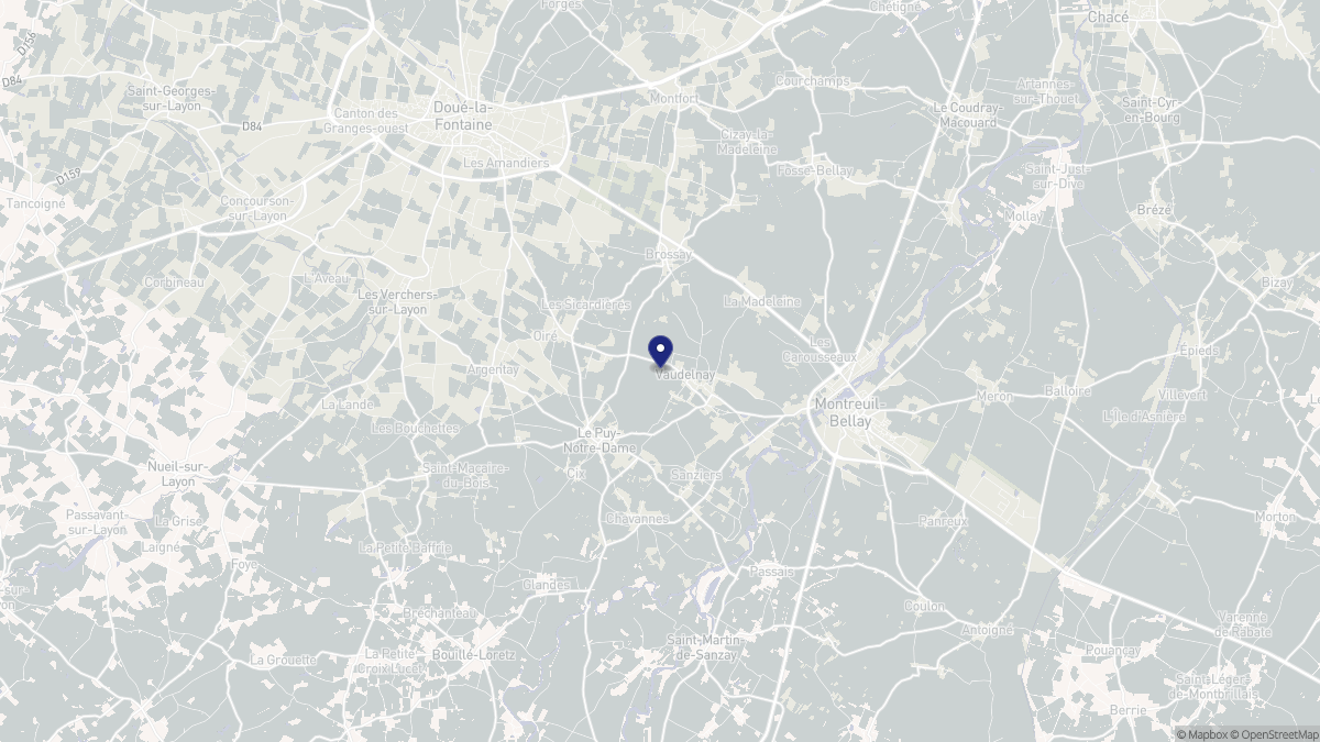 Aperçu cartographique de Vaudelnay, centré sur la commune
