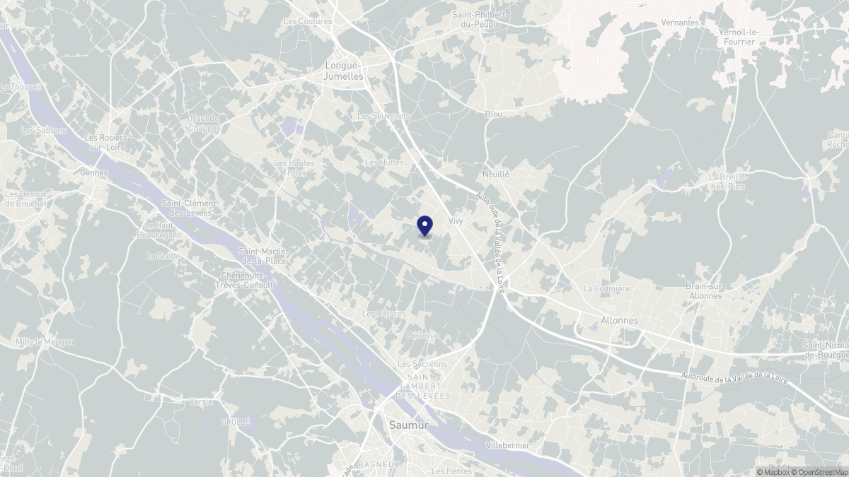 Aperçu cartographique de Vivy, centré sur la commune
