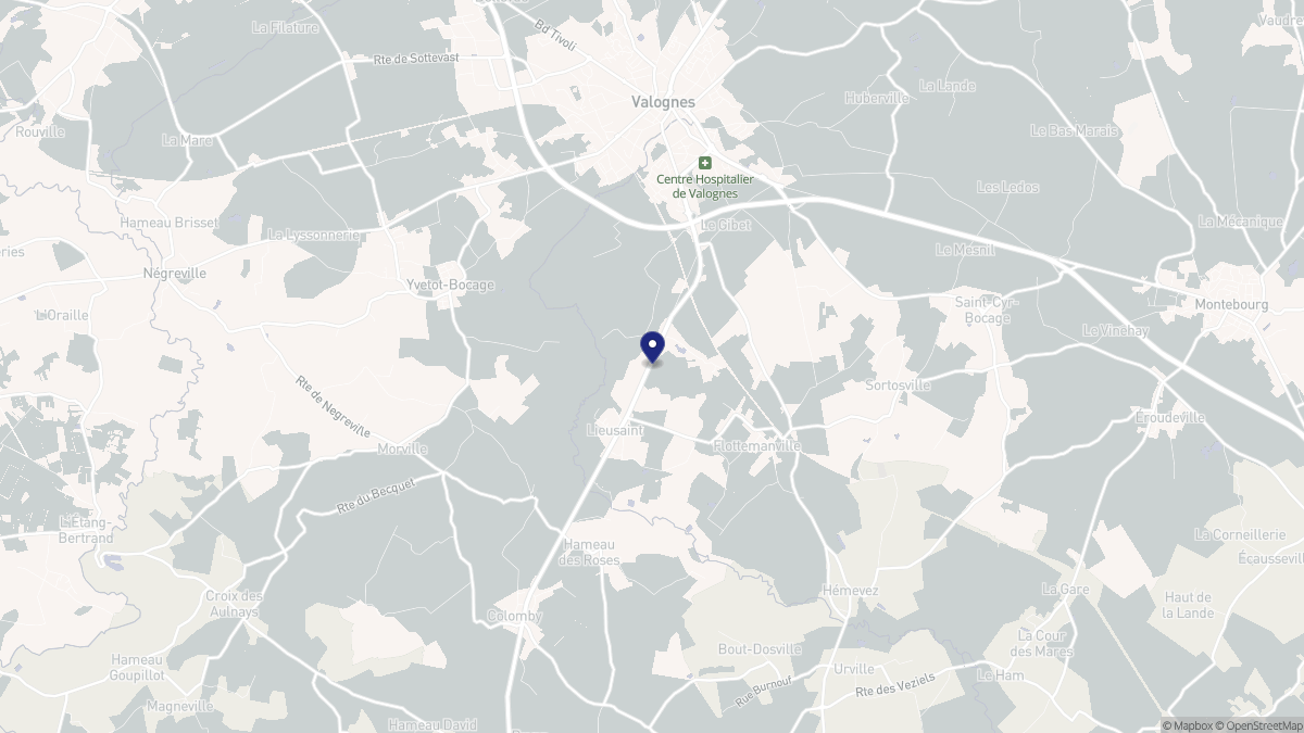 Aperçu cartographique de Lieusaint, centré sur la commune