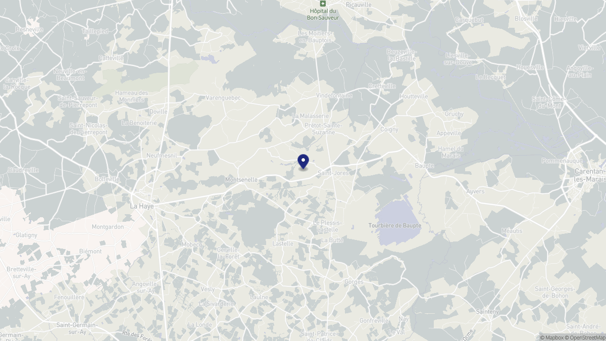 Aperçu cartographique de Montsenelle, centré sur la commune