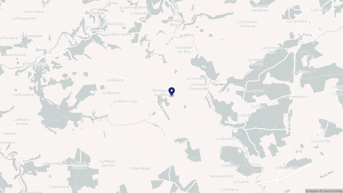 Aperçu cartographique de Montaigu-les-Bois, centré sur la commune
