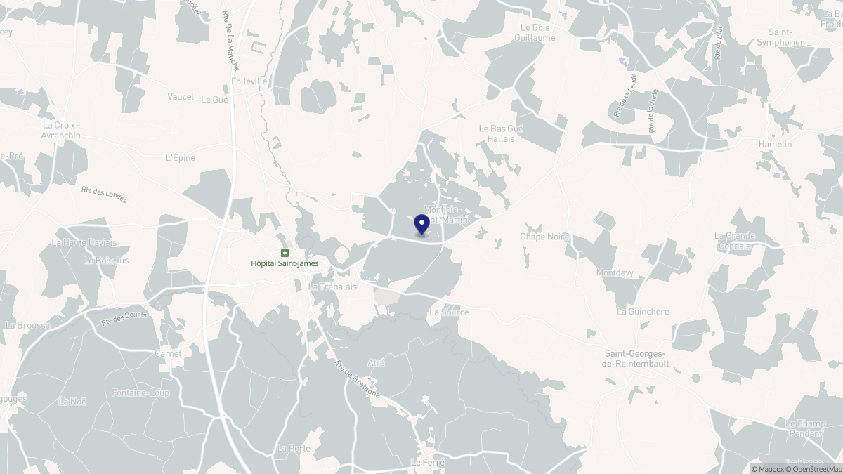 Aperçu cartographique de Montjoie-Saint-Martin, centré sur la commune