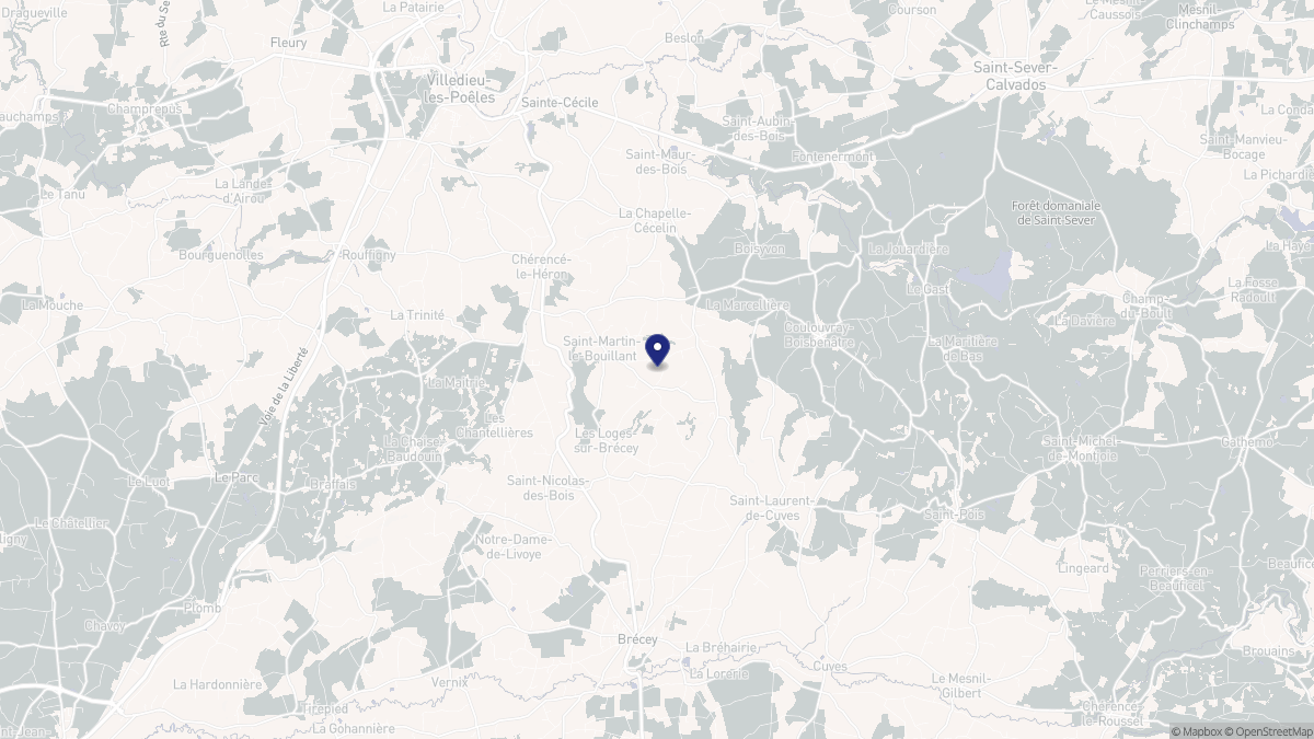 Aperçu cartographique de Saint-Martin-le-Bouillant, centré sur la commune