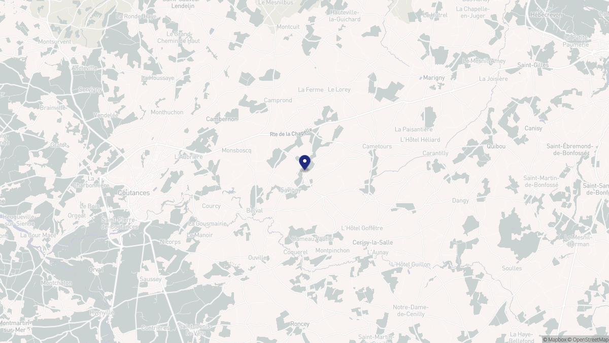 Aperçu cartographique de Savigny, centré sur la commune