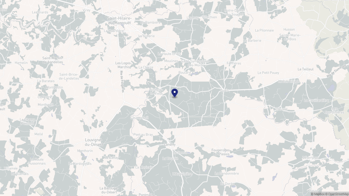 Aperçu cartographique de Savigny-le-Vieux, centré sur la commune