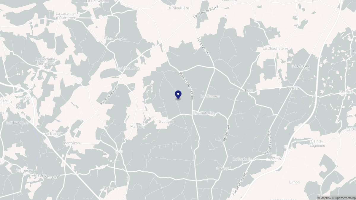 Aperçu cartographique de Subligny, centré sur la commune
