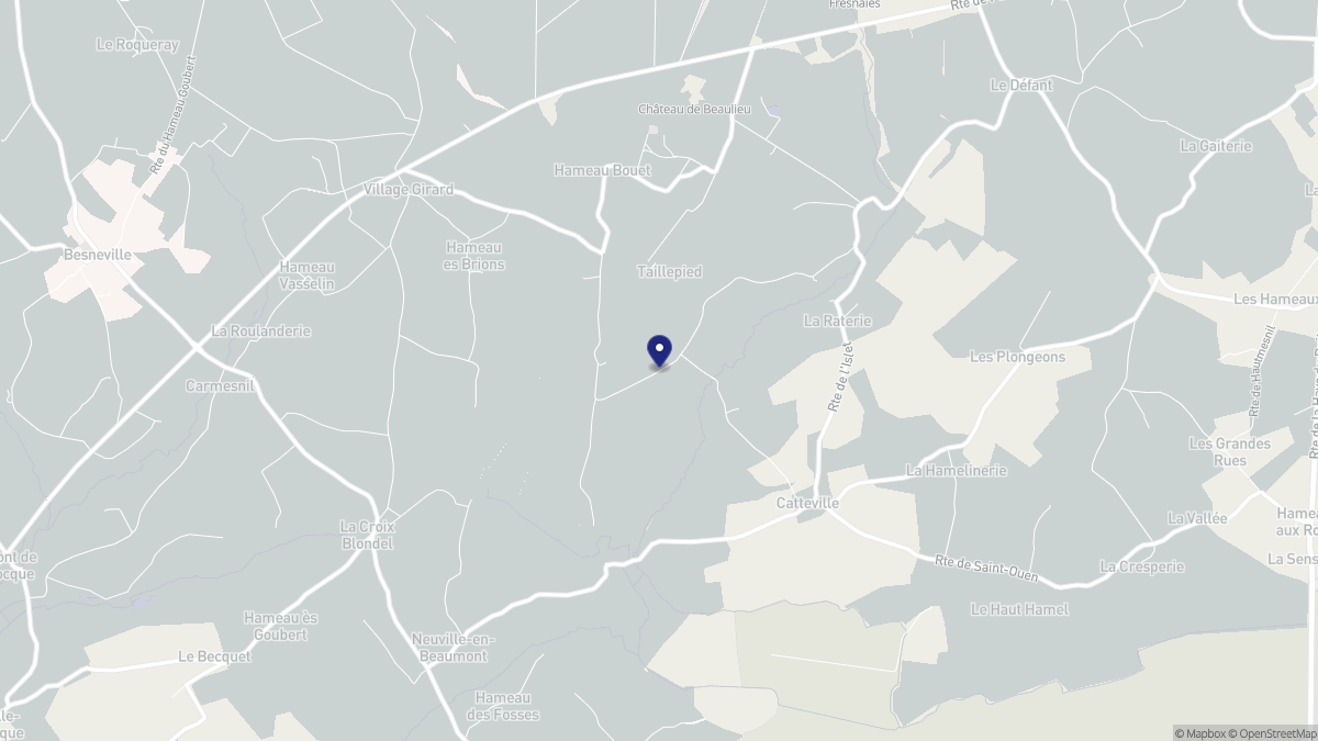 Aperçu cartographique de Taillepied, centré sur la commune