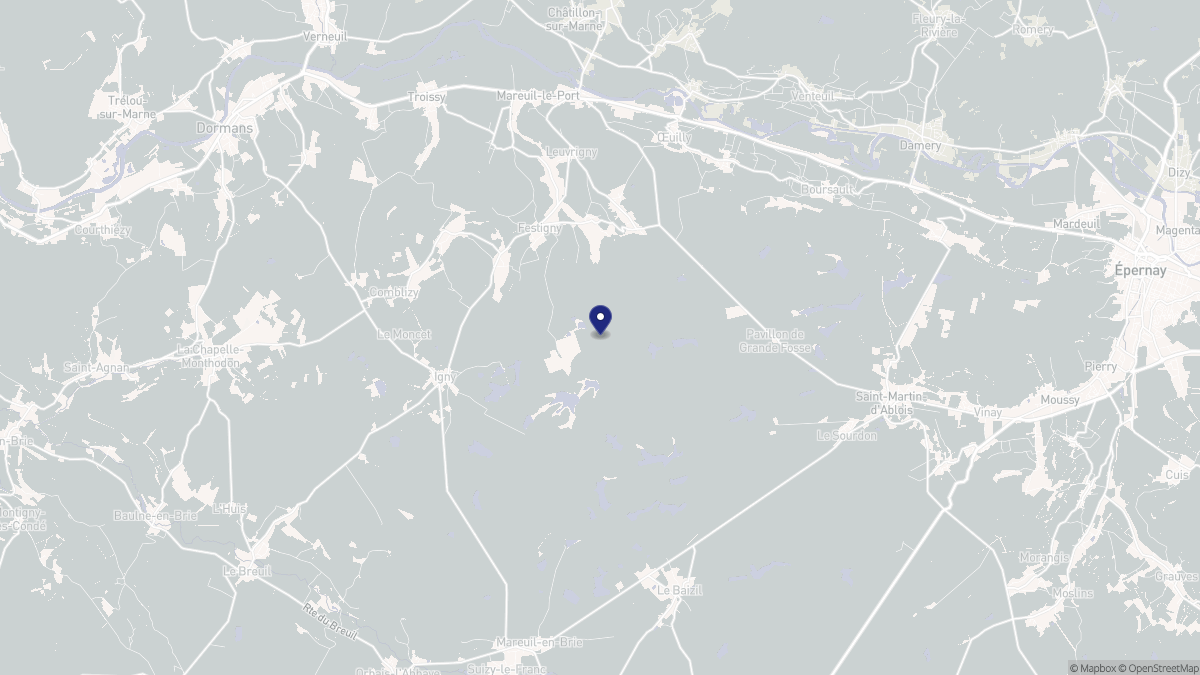 Aperçu cartographique de Festigny, centré sur la commune