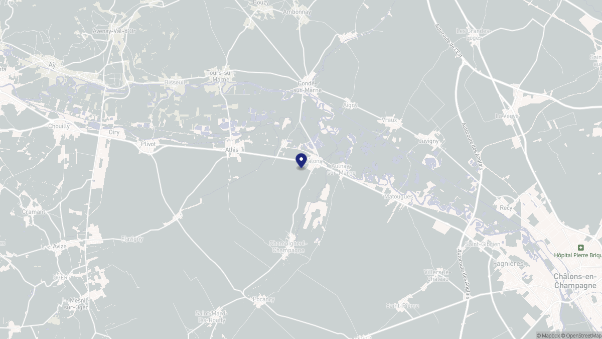 Aperçu cartographique de Jâlons, centré sur la commune