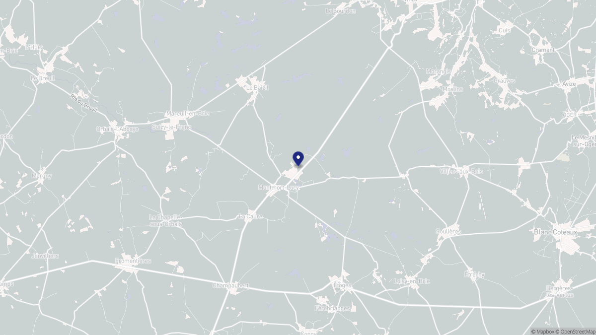 Aperçu cartographique de Montmort-Lucy, centré sur la commune
