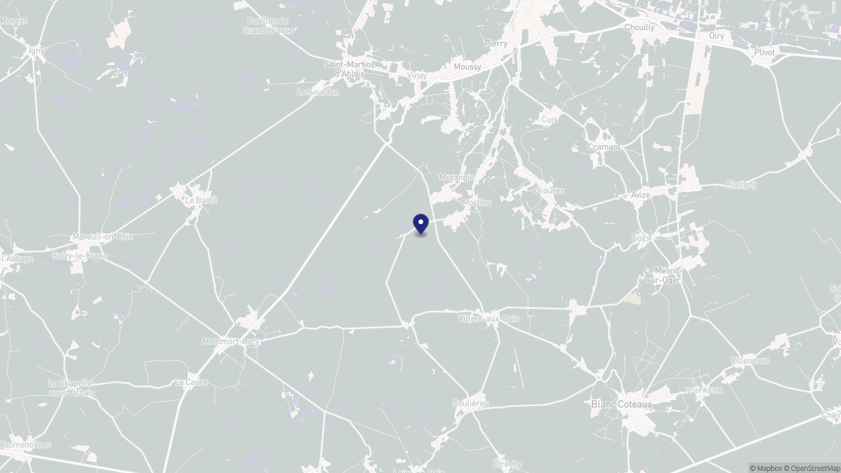 Aperçu cartographique de Moslins, centré sur la commune