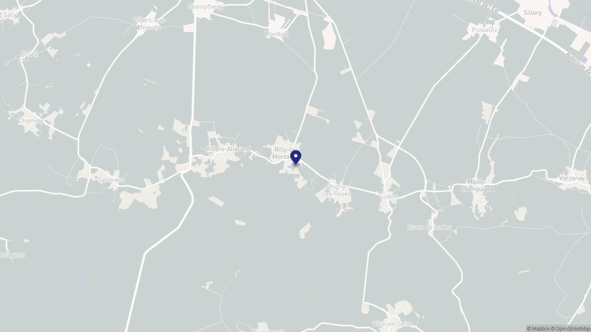 Aperçu cartographique de Rilly-la-Montagne, centré sur la commune