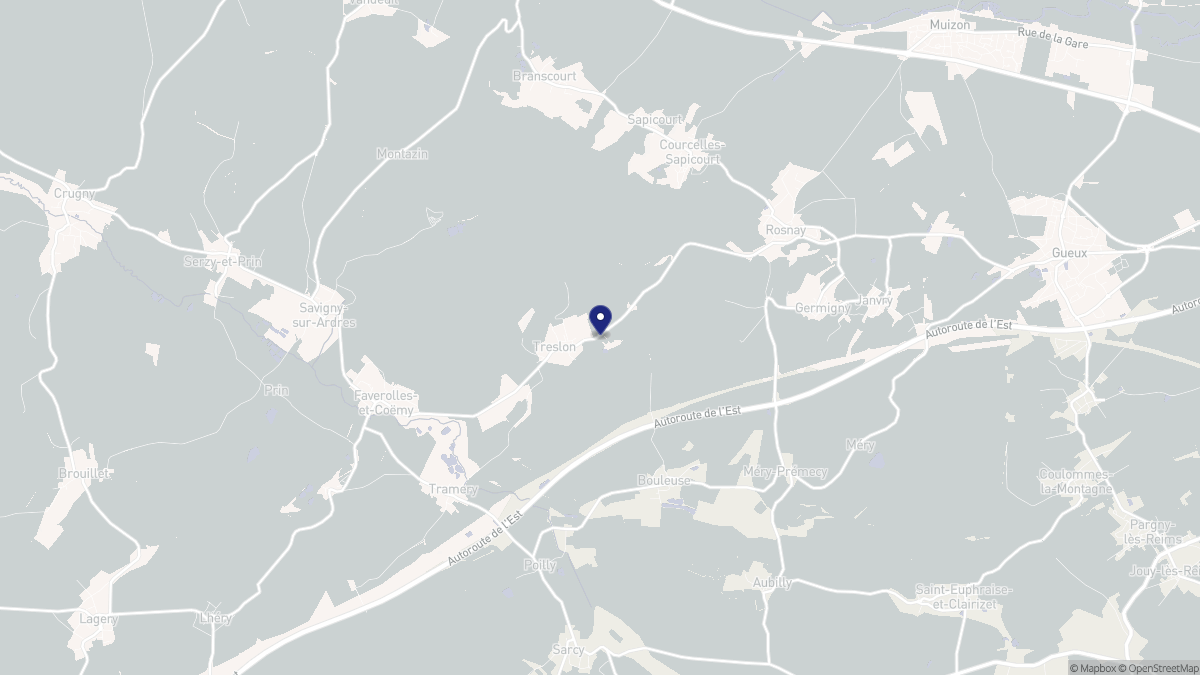 Aperçu cartographique de Treslon, centré sur la commune