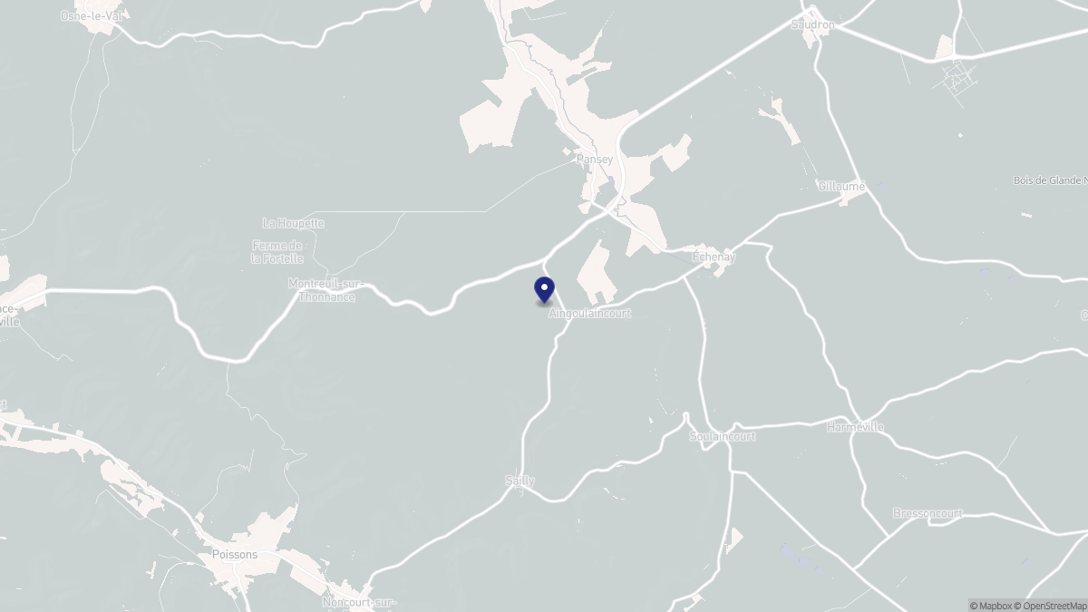 Aperçu cartographique de Aingoulaincourt, centré sur la commune