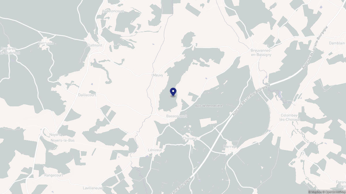 Aperçu cartographique de Bassoncourt, centré sur la commune