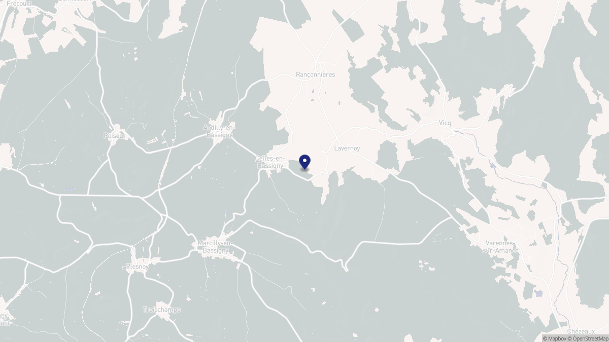 Aperçu cartographique de Celles-en-Bassigny, centré sur la commune