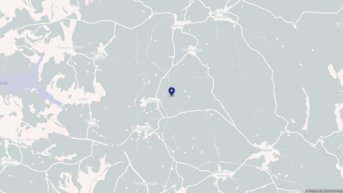 Aperçu cartographique de Celsoy, centré sur la commune