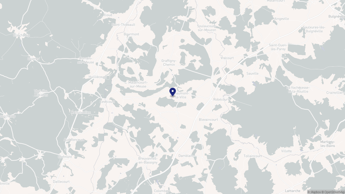 Aperçu cartographique de Chaumont-la-Ville, centré sur la commune