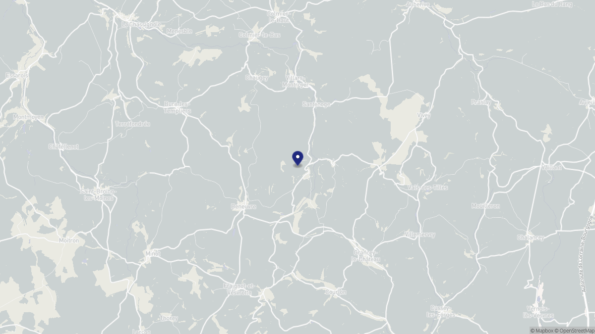 Aperçu cartographique de Poinson-lès-Grancey, centré sur la commune