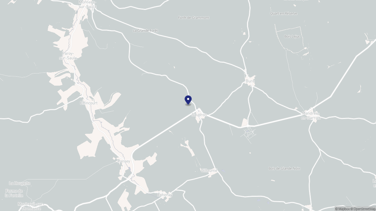 Aperçu cartographique de Saudron, centré sur la commune