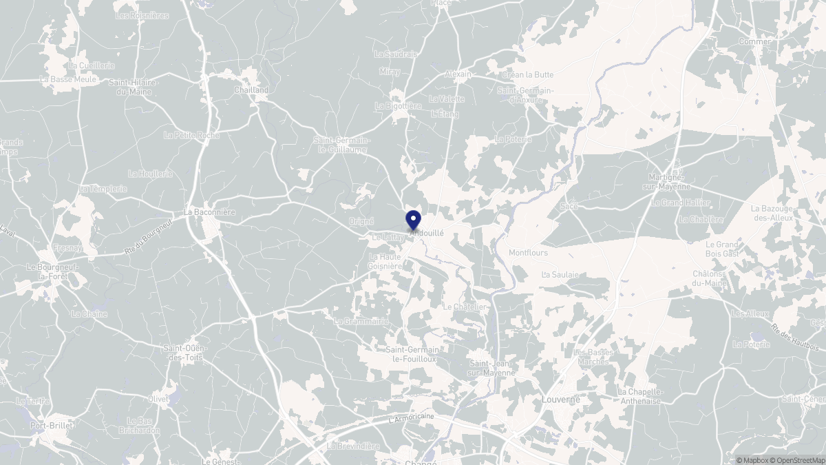 Aperçu cartographique de Andouillé, centré sur la commune