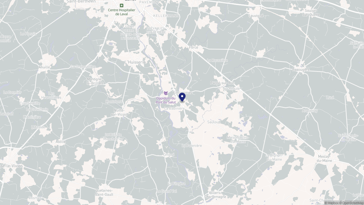 Aperçu cartographique de Entrammes, centré sur la commune