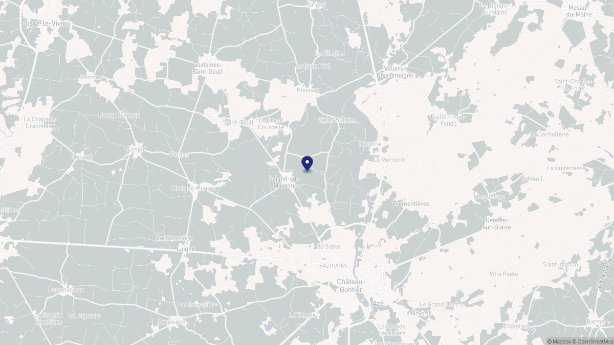 Aperçu cartographique de La Roche-Neuville, centré sur la commune