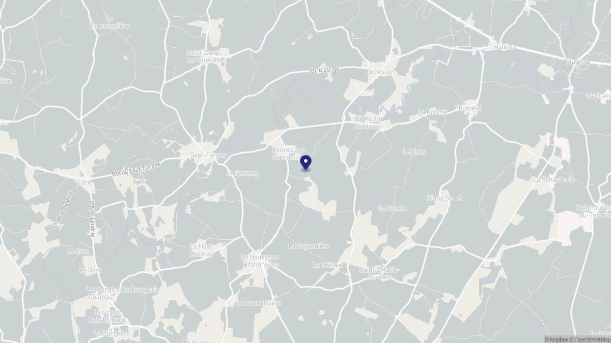Aperçu cartographique de Rennes-en-Grenouilles, centré sur la commune