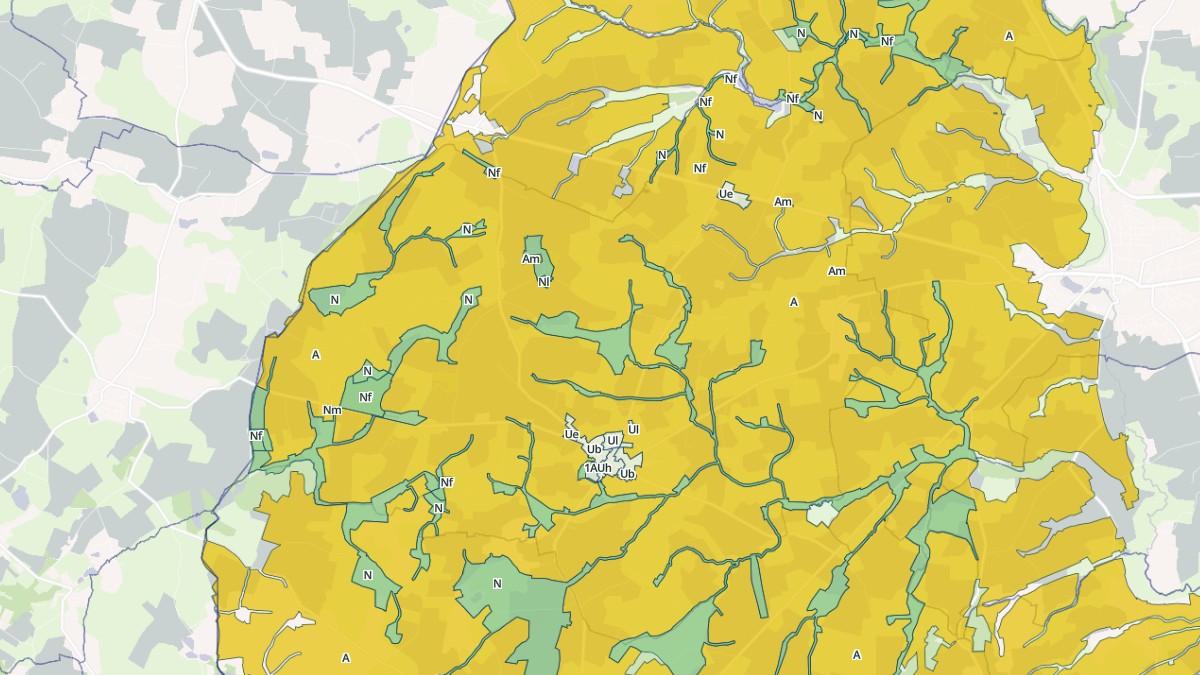 Aperçu cartographique de Saint-Pierre-des-Landes, centré sur la commune