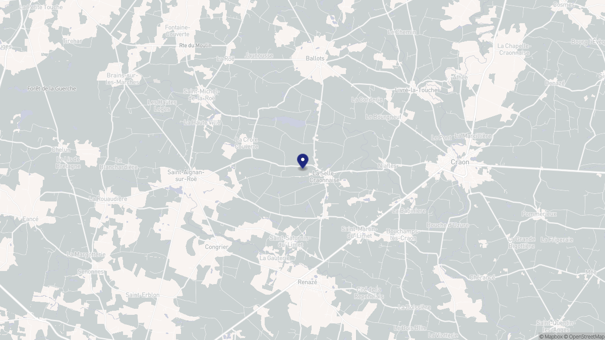 Aperçu cartographique de La Selle-Craonnaise, centré sur la commune