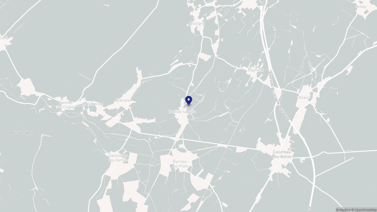 Aperçu cartographique de Barisey-la-Côte, centré sur la commune