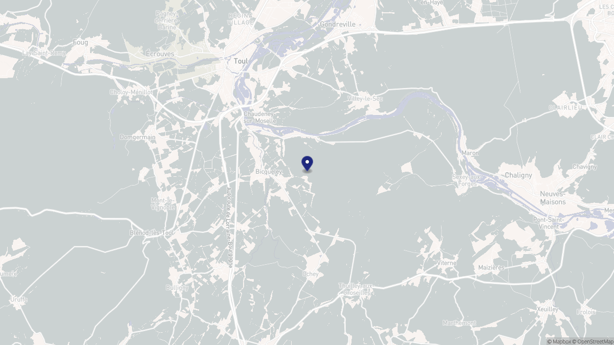 Aperçu cartographique de Bicqueley, centré sur la commune