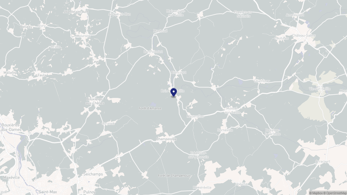 Aperçu cartographique de Brin-sur-Seille, centré sur la commune