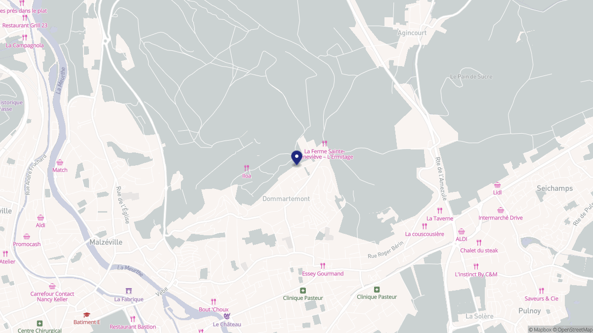 Aperçu cartographique de Dommartemont, centré sur la commune