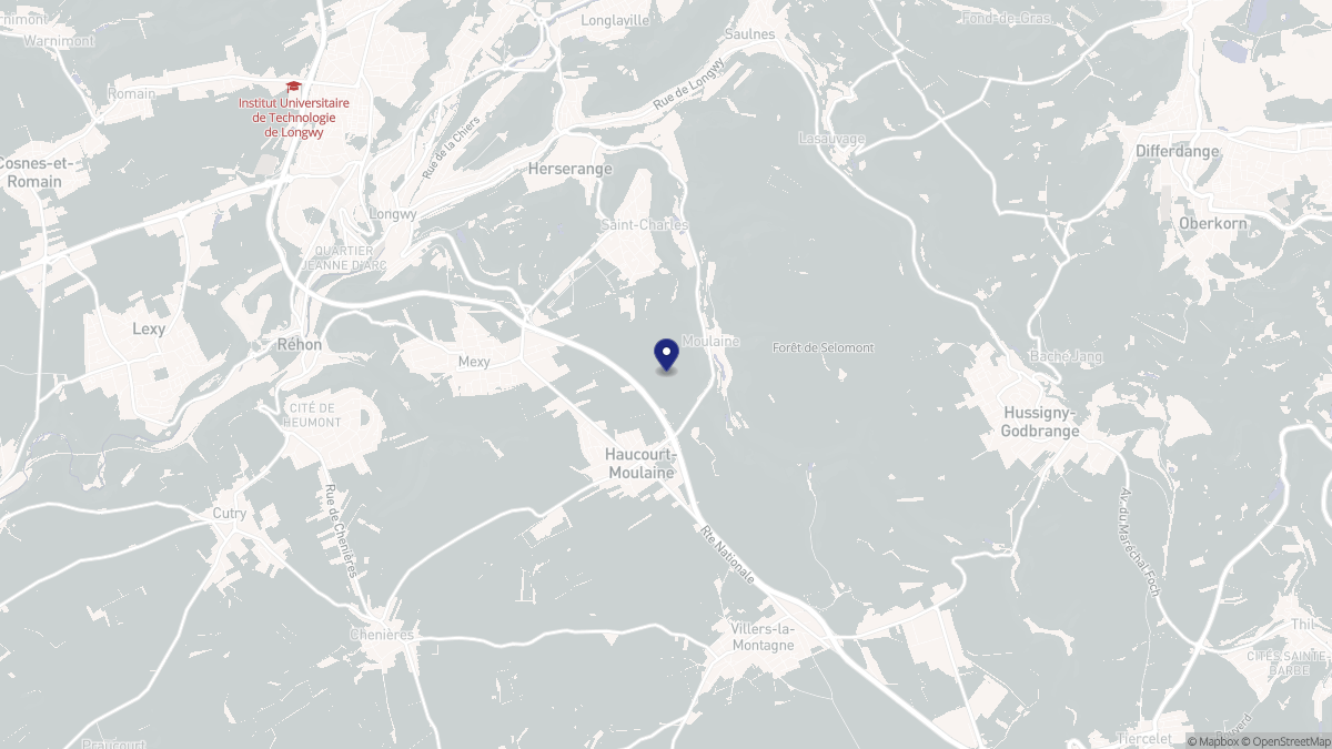 Aperçu cartographique de Haucourt-Moulaine, centré sur la commune