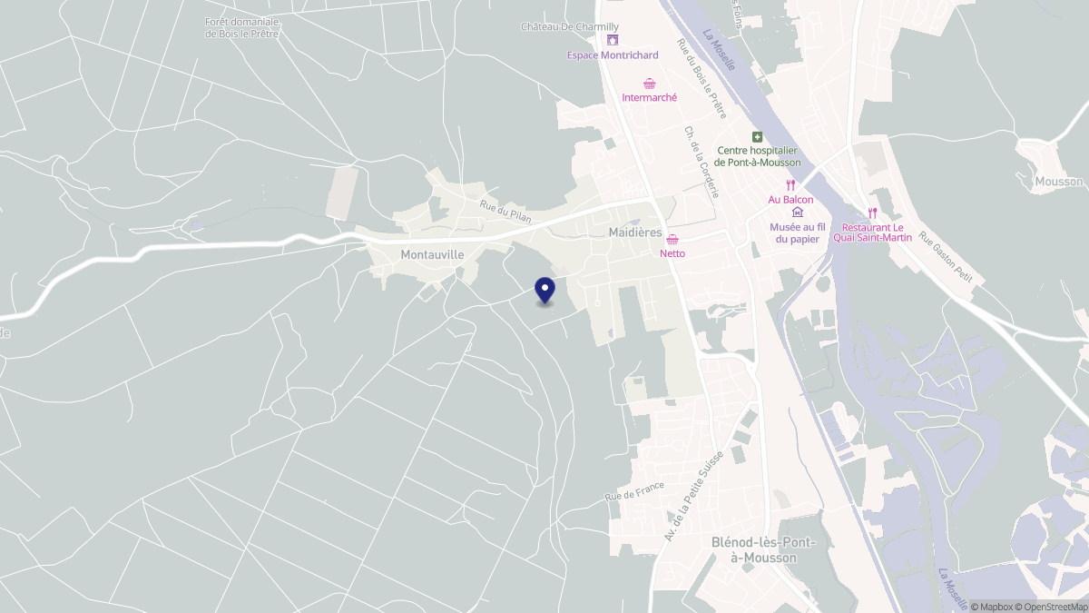 Aperçu cartographique de Maidières, centré sur la commune