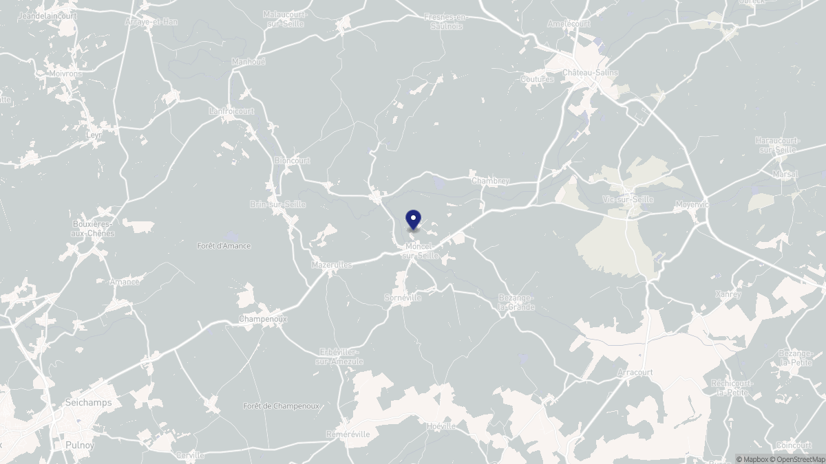 Aperçu cartographique de Moncel-sur-Seille, centré sur la commune