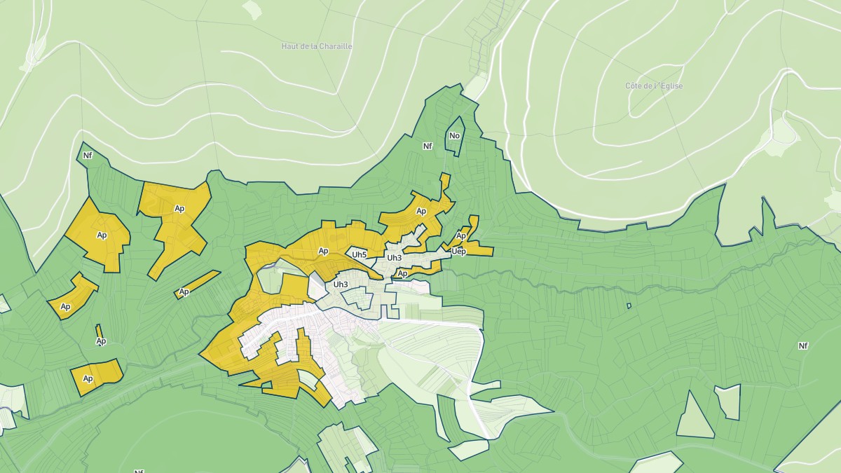 Aperçu cartographique de Raon-lès-Leau, centré sur la commune