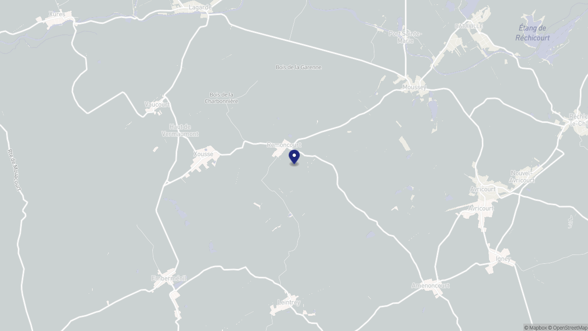 Aperçu cartographique de Remoncourt, centré sur la commune