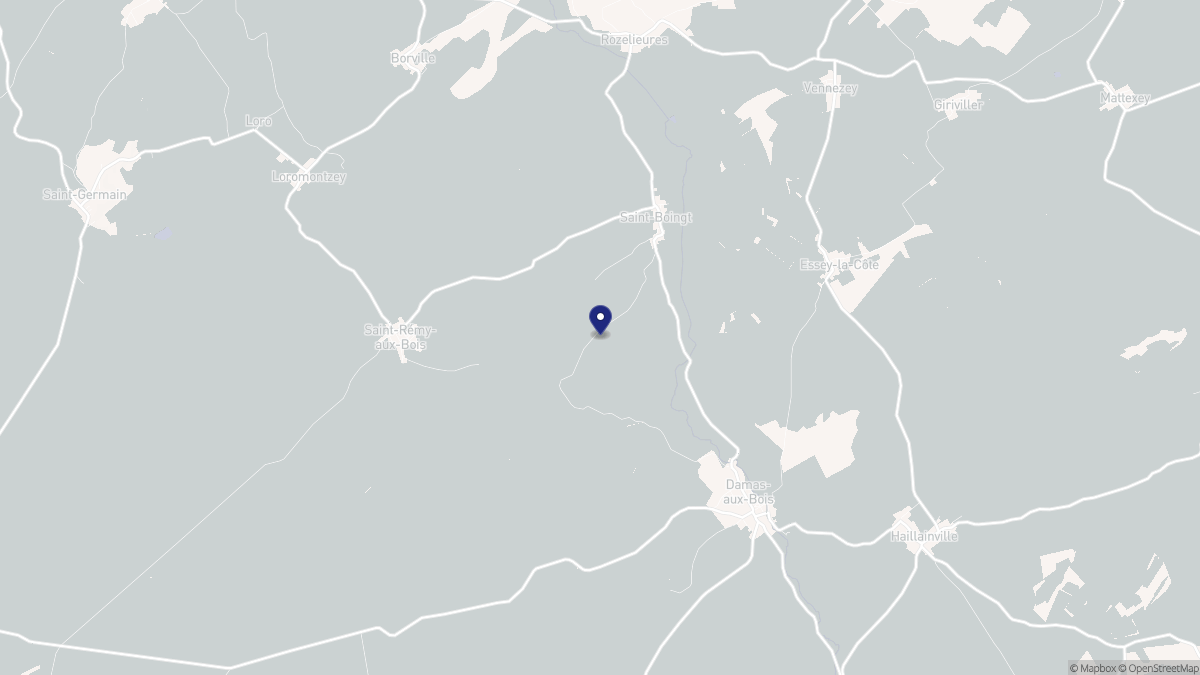 Aperçu cartographique de Saint-Boingt, centré sur la commune