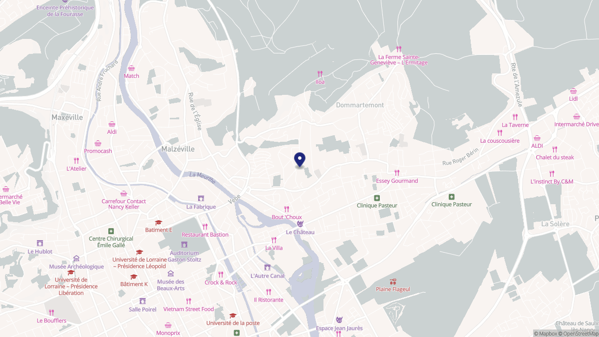 Aperçu cartographique de Saint-Max, centré sur la commune