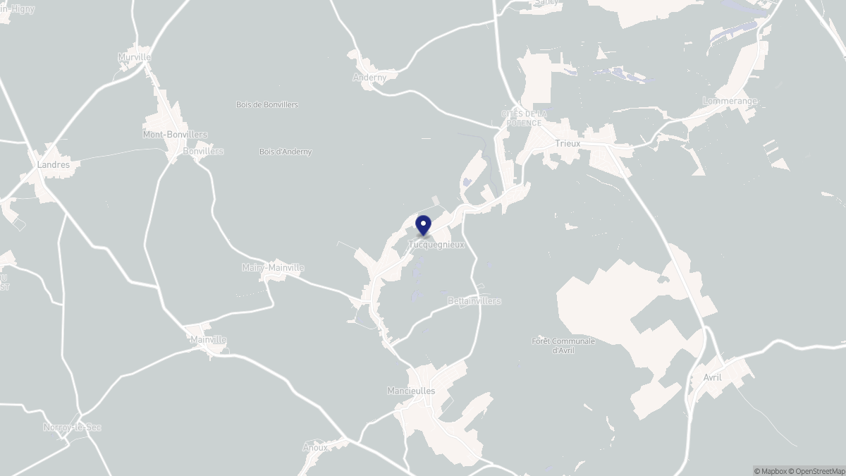 Aperçu cartographique de Tucquegnieux, centré sur la commune