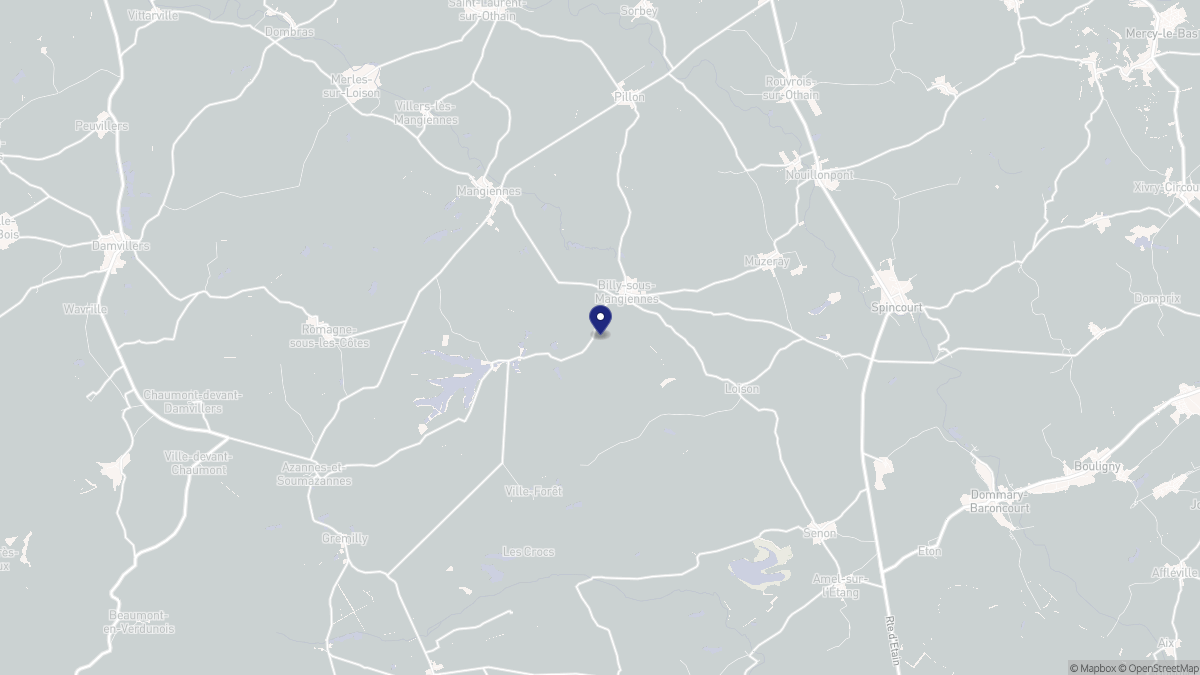 Aperçu cartographique de Billy-sous-Mangiennes, centré sur la commune