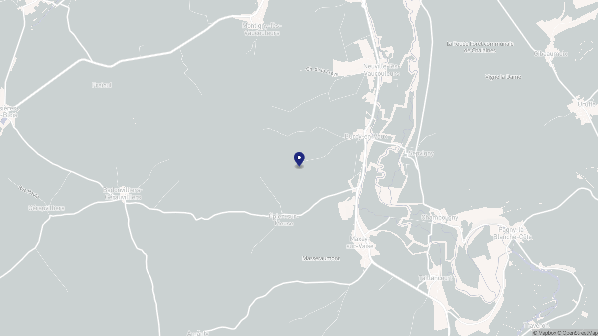 Aperçu cartographique de Burey-en-Vaux, centré sur la commune