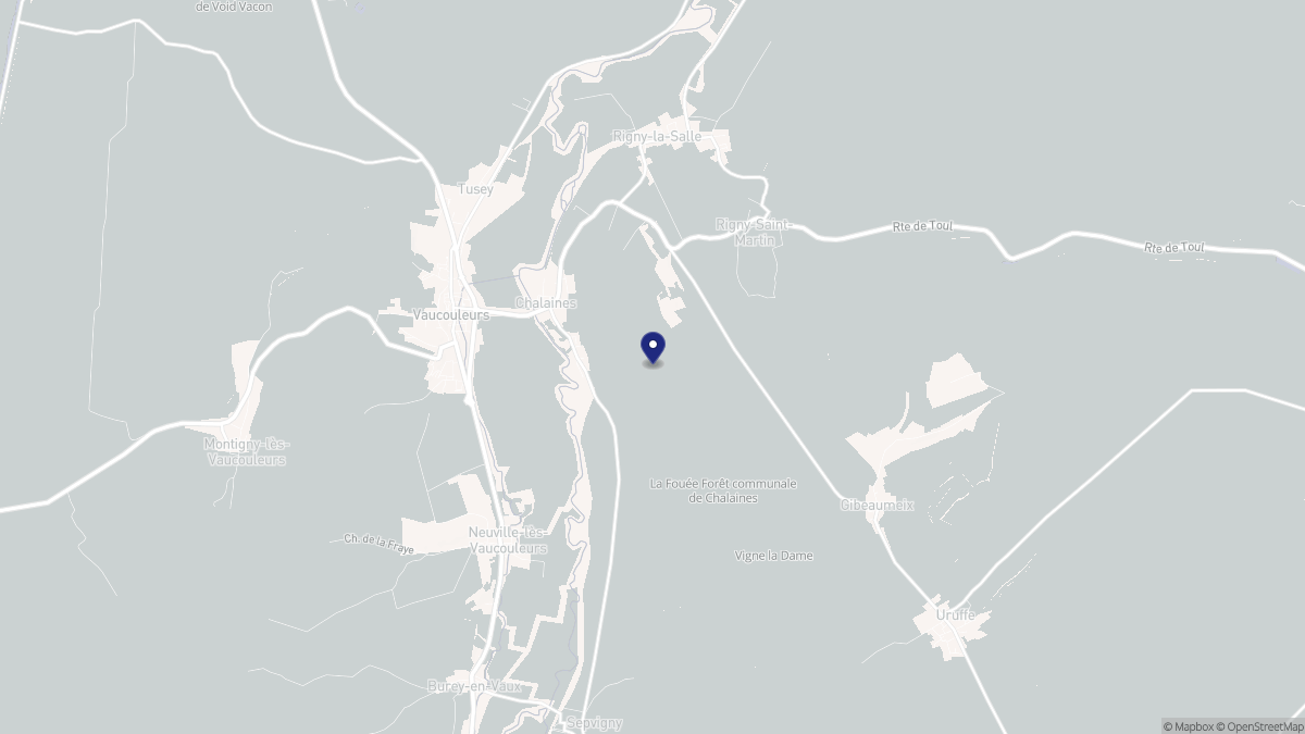 Aperçu cartographique de Chalaines, centré sur la commune