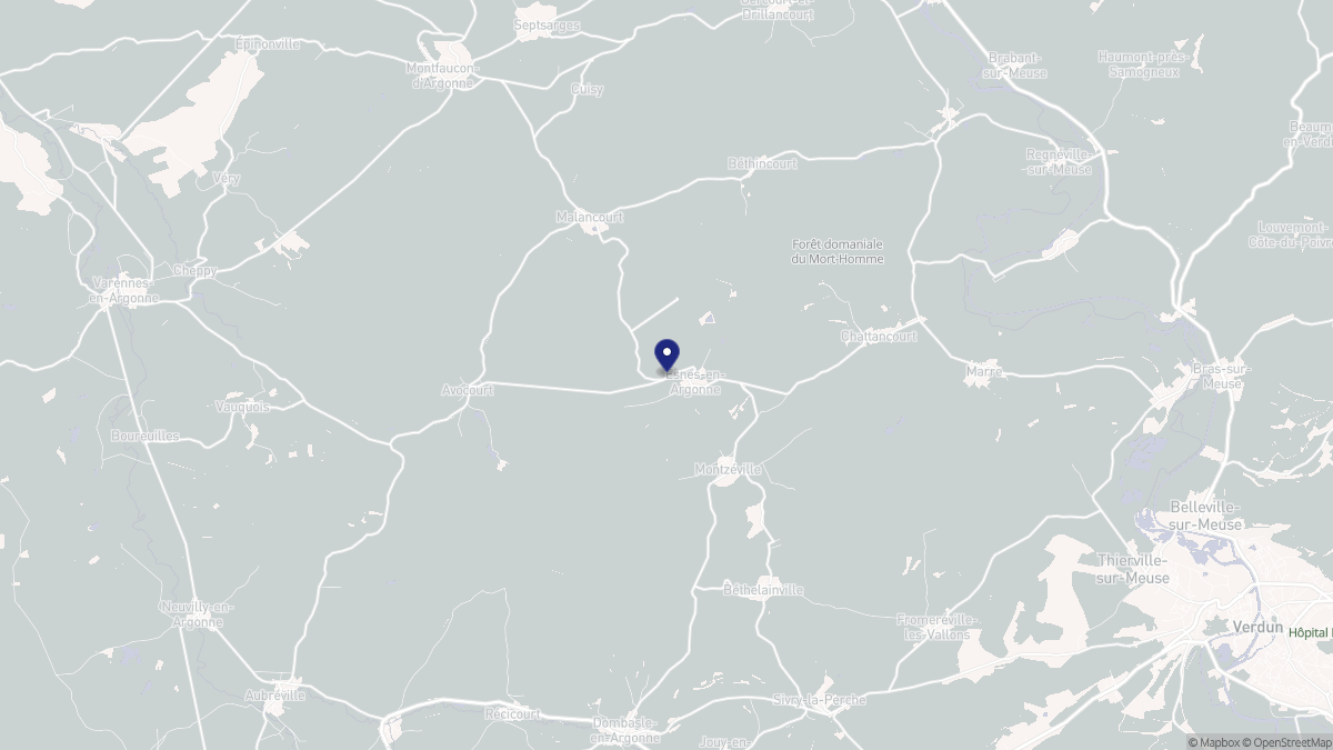 Aperçu cartographique de Esnes-en-Argonne, centré sur la commune