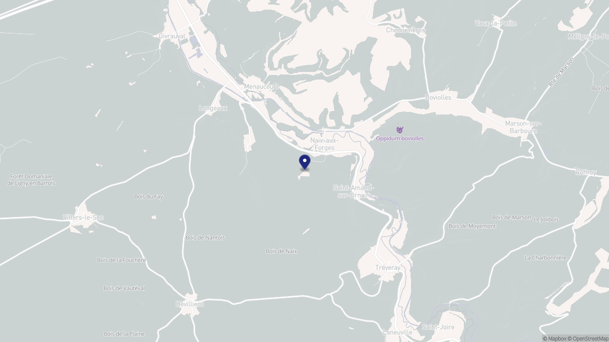 Aperçu cartographique de Naix-aux-Forges, centré sur la commune